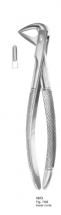  Fig. 74M lower roots 